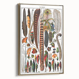Vintage Bird Feathers Illustration - Nature Elements Wall Art Print