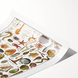 Vintage Mollusks and Marine Life Illustration - Nature Elements Wall Art