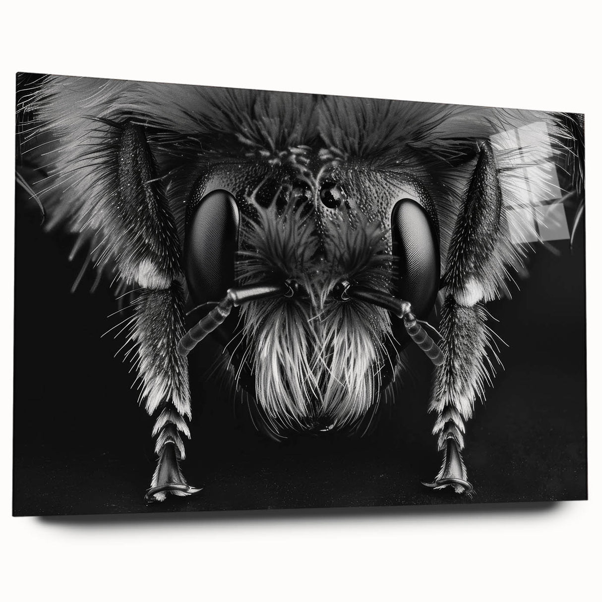 Acrylic wall art collection showcasing a detailed design of bees and arachnids, presented in a side view without pins, perfect for nature-themed decor.