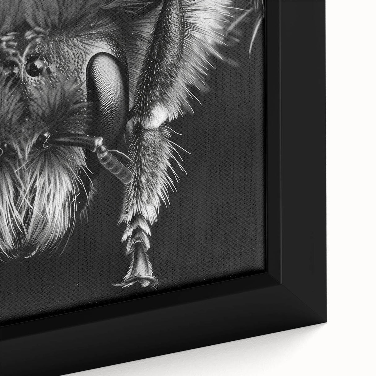 Close-up of a vibrant framed canvas wall art featuring a detailed design of various insects and arachnids, showcasing intricate patterns and colors perfect for nature enthusiasts.