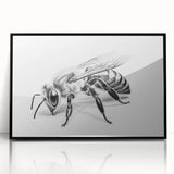 Framed wall art showcasing detailed insect and arachnid illustrations, including bees, on a black background, perfect for nature enthusiasts and home decor.