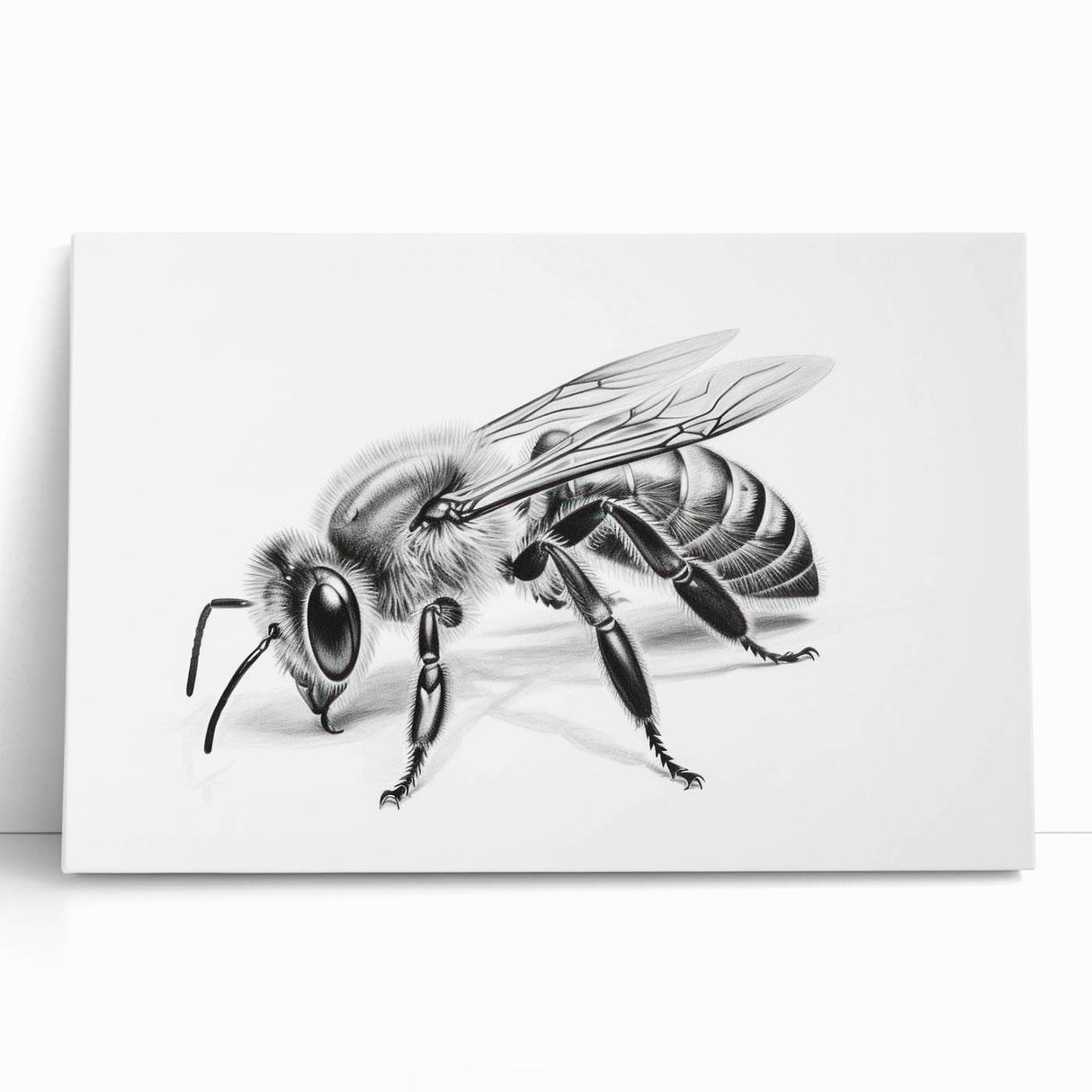 Stretched canvas wall art featuring a vibrant bee and arachnid design, showcasing intricate details and lively colors, ideal for nature lovers' home decor.