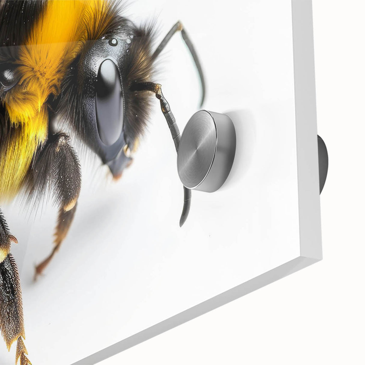 Close-up of a vibrant wall art piece showcasing a detailed design of insects and arachnids, featuring bees against an acrylic glass background, perfect for nature enthusiasts.