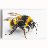 Stretched canvas wall art featuring a vibrant design of bees and arachnids, showcasing intricate details and rich colors, perfect for nature enthusiasts' decor.