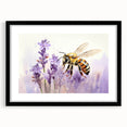 Framed wall art design showcasing a detailed collection of bees and arachnids, featuring a sleek black mat and modern aesthetics, perfect for nature enthusiasts.