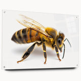 Acrylic wall art collection showcasing a detailed insect and arachnid design featuring bees, elegantly displayed from the side with visible pins, enhancing its artistic appeal.