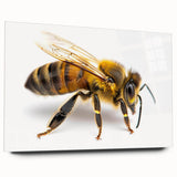 Acrylic glass wall art featuring a detailed bee and arachnid design, showcasing vibrant colors and intricate patterns, ideal for nature-inspired decor.
