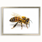 Framed wall art collection showcasing intricately designed bees and arachnids, featuring a sleek silver frame and matting, perfect for nature enthusiasts.