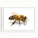 Framed wall art featuring a detailed illustration of various insects and arachnids, including bees, in a sleek white mat, perfect for nature enthusiasts and modern decor.