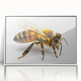 Framed wall art featuring a vibrant bee and arachnid design, showcasing intricate details and bright colors, perfect for nature enthusiasts and modern decor.