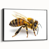 Framed canvas wall art featuring a vibrant insect and arachnid bee design in bold colors, displayed from the side against a neutral background, ideal for nature enthusiasts.