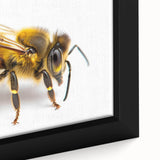 Close-up of a framed canvas artwork showcasing a vibrant bee design, featuring intricate details and colors, ideal for insect-themed decor and nature enthusiasts.