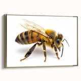 Framed wall art featuring a vibrant design of bees and arachnids, showcased in a gold frame with a side view, perfect for nature enthusiasts and modern decor.