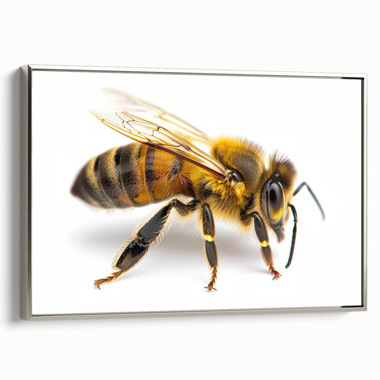 Framed canvas wall art featuring a stunning insect and arachnid bee design, elegantly displayed with a silver frame, perfect for enhancing modern decor.