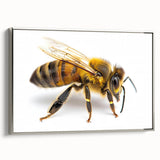 Framed canvas wall art featuring a stunning insect and arachnid bee design, elegantly displayed with a silver frame, perfect for enhancing modern decor.