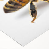 Vibrant rolled canvas wall art featuring a detailed design of bees and other insects, showcasing intricate patterns and colors, perfect for nature enthusiasts.
