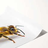 Colorful wall art print showcasing a vibrant design of bees and arachnids, ideal for nature lovers and modern decor. Perfect for adding unique flair to any space.