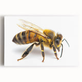 Stretched canvas artwork showcasing a detailed illustration of bees and arachnids, featuring vibrant colors and intricate designs, perfect for nature lovers.