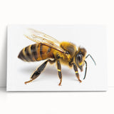 Stretched canvas wall art showcasing a vibrant design of bees and arachnids, leaning against a textured backdrop, ideal for nature-themed decor.