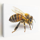 Stretched canvas wall art showcasing a vibrant bee and arachnid design, featuring intricate details and rich colors, perfect for nature-inspired decor. Ideal for adding a unique touch to any room.