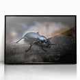 Framed acrylic wall art showcasing a detailed beetle design, featuring vivid colors and intricate patterns, ideal for insect enthusiasts and modern decor.