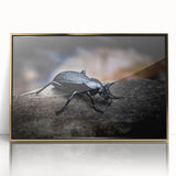Framed wall art showcasing a detailed beetle design in rich colors, featuring a gold-acrylic finish, perfect for insect lovers and modern decor enthusiasts.