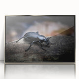 Framed wall art featuring a detailed insect and arachnid beetle design in vibrant colors, encased in a sleek silver frame, ideal for nature enthusiasts' decor.