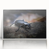 Framed acrylic wall art showcasing a detailed insect and arachnid beetle design, featuring vibrant colors on a white background, ideal for nature enthusiasts.