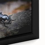 Close-up of a framed canvas wall art featuring a vibrant beetle and arachnid design, showcasing intricate details and rich colors, perfect for insect enthusiasts and modern decor.