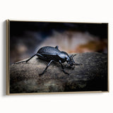 Framed wall art showcasing a detailed insect and arachnid beetle design on canvas, featuring a gold frame and elegant presentation, perfect for nature enthusiasts and modern decor.