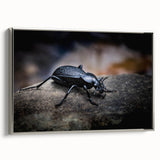 Framed canvas wall art showcasing a detailed beetle design in vibrant colors, set against a silver frame, perfect for insect enthusiasts and modern decor.