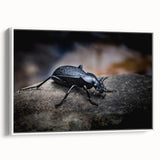 Framed canvas wall art showcasing a detailed insect and arachnid beetle design, featuring vibrant colors and intricate patterns, perfect for nature enthusiasts.