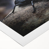 Rolled canvas artwork showcasing a detailed beetle design, featuring vibrant colors and intricate patterns, perfect for nature enthusiasts and modern decor styles.