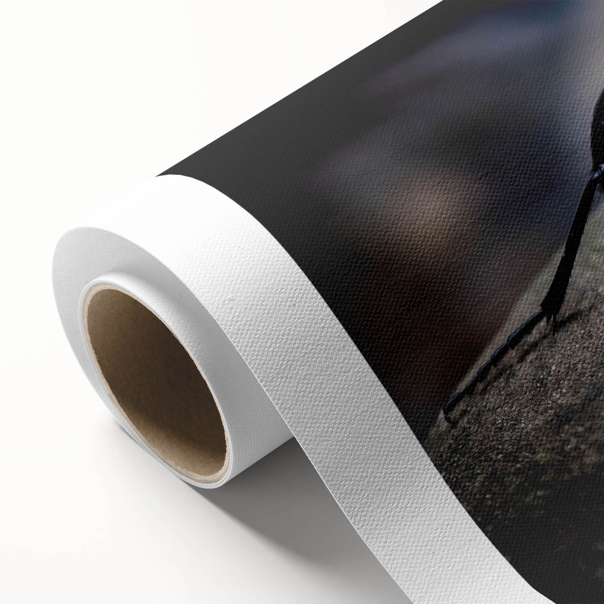 Beetle-themed wall art design printed on rolled canvas, showcasing intricate insect illustrations in vibrant colors, ideal for adding a unique touch to home decor.