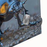 Close-up of a vibrant beetle design wall art piece, showcasing intricate patterns and colors on acrylic glass, perfect for nature enthusiasts and modern decor.