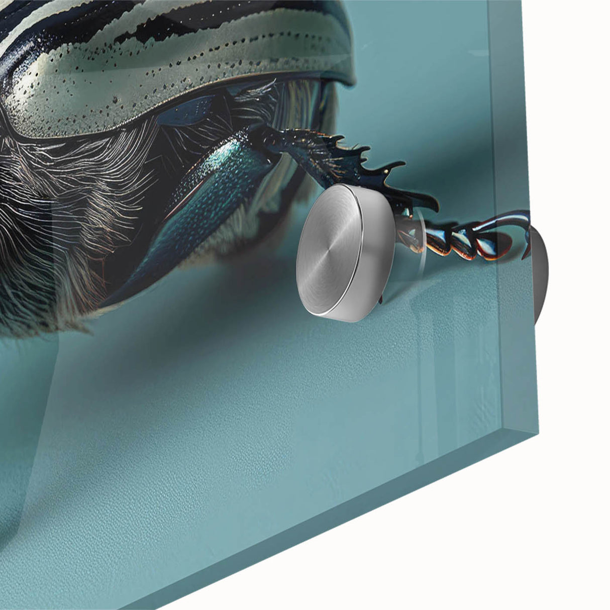 Close-up of a vibrant beetle wall art design featuring intricate patterns and colors, printed on high-quality acrylic glass, perfect for modern decor.