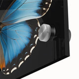 Close-up of a vibrant butterfly design wall art piece, showcasing intricate details and vivid colors, perfect for adding an artistic touch to any decor. This acrylic glass artwork highlights the beauty of nature, making it a unique decor option for enthusiasts of insects and arachnids.