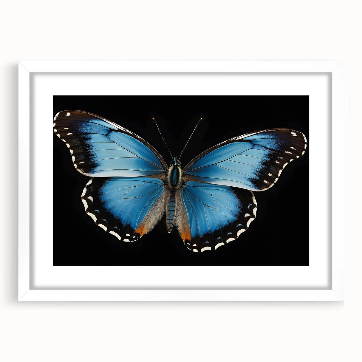 Framed wall art collection showcasing a vibrant butterfly design with intricate insect and arachnid details, set against a white mat for a contemporary look. Perfect for nature enthusiasts and home decor.