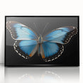 Framed wall art collection featuring a vibrant butterfly design, showcasing intricate insect and arachnid details on a sleek black background, perfect for nature lovers.