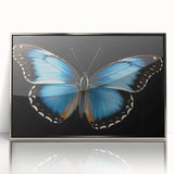 Framed wall art collection featuring a vibrant butterfly design, showcasing intricate insect and arachnid details in a sleek silver frame, perfect for home decor.