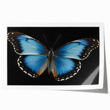 Vibrant butterfly wall art print showcasing intricate insect and arachnid designs in vivid colors, ideal for enhancing home decor or art collections.
