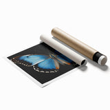 Colorful butterfly and arachnid wall art print showcasing intricate designs and vibrant hues, ideal for home decor or educational purposes, rolled for easy display.