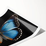 Vibrant butterfly-themed wall art design showcasing intricate insect and arachnid illustrations, perfect for home decor or educational spaces, rolled for easy display.