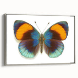Framed wall art featuring a vibrant butterfly design, part of the Insect and Arachnid collection, showcased in a sleek silver frame against a neutral background.