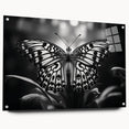 Colorful butterfly wall art collection displayed in an acrylic frame, showcasing intricate insect and arachnid designs, ideal for nature-inspired decor.
