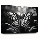 Colorful butterfly wall art design displayed in an acrylic frame, showcasing intricate details and vivid colors, perfect for enhancing modern home decor.