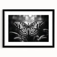 Framed wall art showcasing an intricate butterfly and insect design, featuring a sleek black frame and matting, ideal for modern decor enthusiasts.
