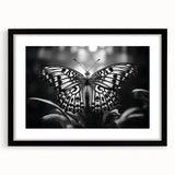 Framed wall art showcasing an intricate butterfly and insect design, featuring a sleek black frame and matting, ideal for modern decor enthusiasts.