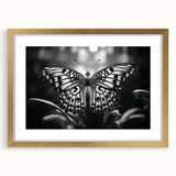 Framed wall art featuring a colorful butterfly design, elegantly matted and accented with a gold frame, ideal for adding a vibrant touch to home decor.