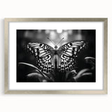 Framed wall art featuring a butterfly design from the insect and arachnid collection, showcasing intricate details and vibrant colors, set in a stylish silver frame.